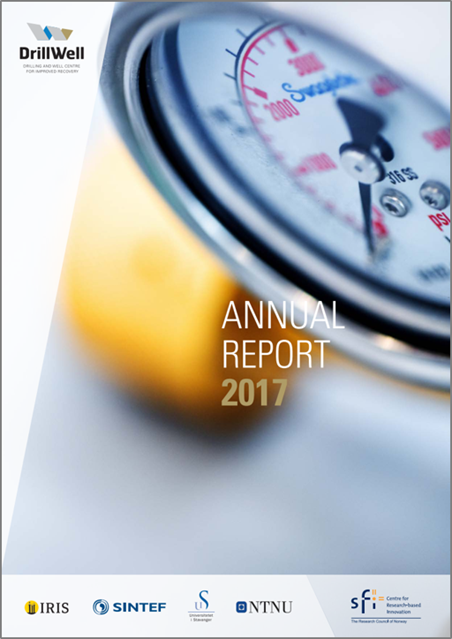 picture annual report 2017