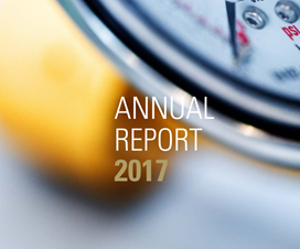 annualreport2017 1